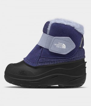 Botte Hiver The North Face Alpenglow II Fille Bleu Noir | FRANCE TWNPE