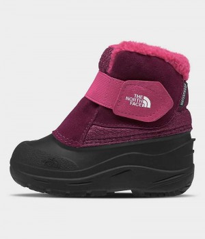 Botte Hiver The North Face Alpenglow II Fille Rose Noir | PARIS EFVDJ