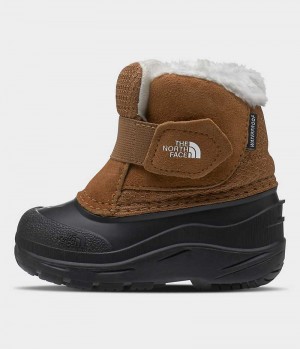 Botte Hiver The North Face Alpenglow II Garcon Marron | FR ZESOQ