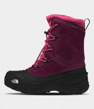 Botte Hiver The North Face Alpenglow V Imperméables Garcon Fushia Noir | FRANCE HGEFC