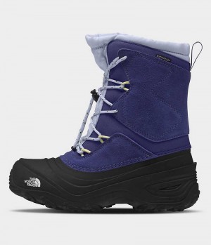 Botte Hiver The North Face Alpenglow V Imperméables Garcon Bleu Noir | FR MWEVX