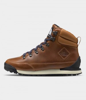 Botte Hiver The North Face Back-To-Berkeley IV Regen Homme Marron | FR GFHAW