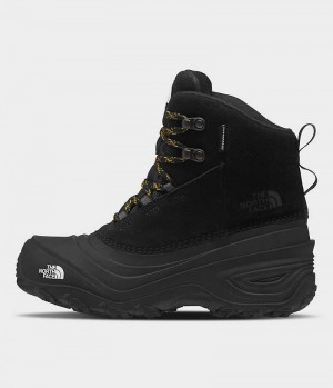 Botte Hiver The North Face Chilkat V Dentelle Imperméables Garcon Noir | FRANCE ATXQG