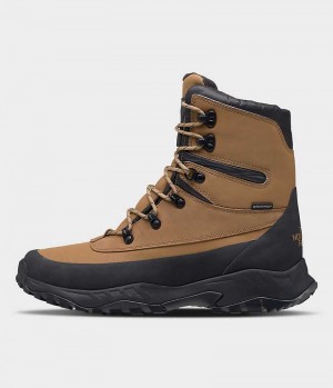 Botte Hiver The North Face ThermoBall™ Lifty II Homme Marron Noir | PARIS HAGNO