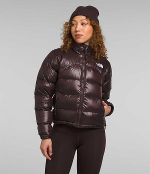 Doudoune The North Face 2000 Retro Nuptse Femme Marron | PARIS PTJBG