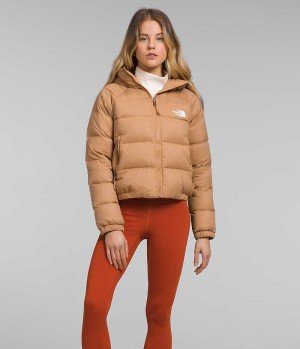 Doudoune The North Face Hydrenalite™ Femme Marron | PARIS PSFHT