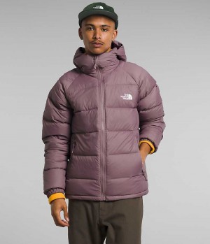 Doudoune The North Face Hydrenalite™ Hoodie Homme Fushia | PARIS QPVDE