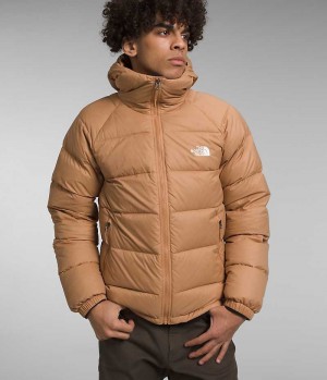 Doudoune The North Face Hydrenalite™ Hoodie Homme Kaki | PARIS JWMXN