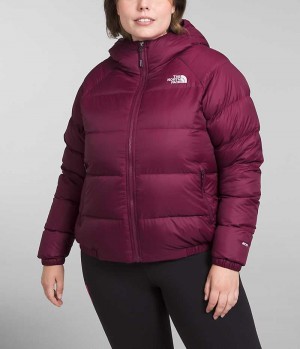 Doudoune The North Face Plus Hydrenalite™ Hoodie Femme Rouge | FRANCE IVGRO