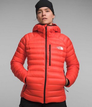 Doudoune The North Face Summit Series Breithorn Hoodie Femme Orange | FR NGJDO