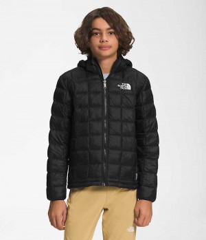 Doudoune The North Face ThermoBall™ Encapuchonné Garcon Noir | FRANCE JKUGH