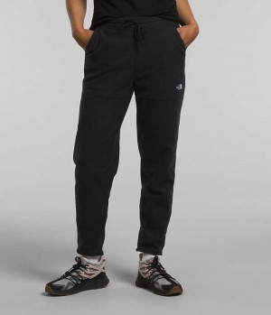 Pantalon En Molleton The North Face Alpine Polartec® 100 Femme Noir | FRANCE EAWXL