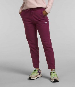 Pantalon En Molleton The North Face Alpine Polartec® 100 Femme Bordeaux | PARIS UILBV