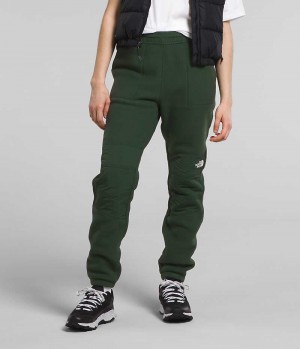 Pantalon The North Face Denali Femme Vert | FRANCE FICQK