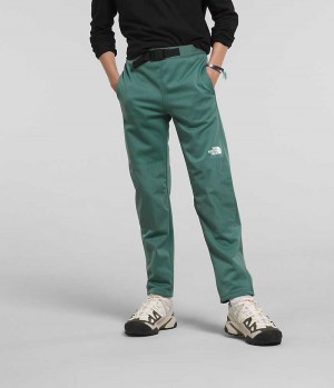 Pantalon The North Face D'hiver Warm Garcon Vert | FR FCKVZ