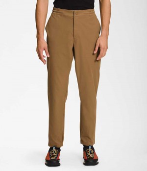 Pantalon The North Face Standard Tapered Homme Marron | FR BVQCO