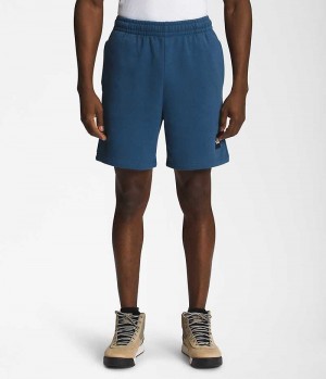 Short The North Face Box NSE Homme Bleu | FR DHPVE