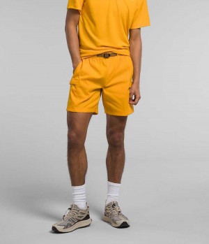 Short The North Face Class V Belted Homme Doré | FR JOMQE