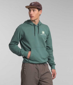 Sweat a Capuche The North Face Box NSE Pullover Homme Vert | PARIS QKDRF