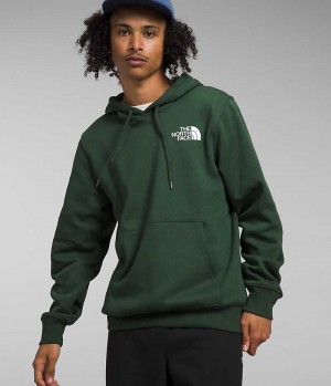 Sweat a Capuche The North Face Box NSE Pullover Homme Vert | FRANCE XJAVO