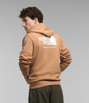 Sweat a Capuche The North Face Box NSE Pullover Homme Kaki | FR AUOFZ