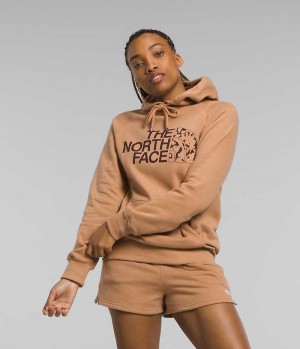 Sweat a Capuche The North Face Half Dome Pullover Femme Marron | FRANCE FAGMX