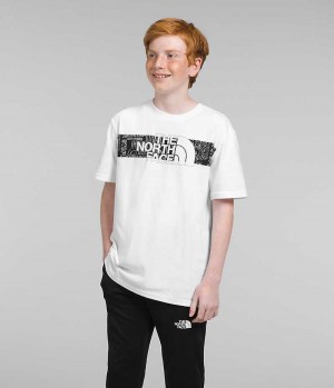 T-Shirt The North Face Corta Sleeve Graphique Garcon Blanche | FR DUFEC