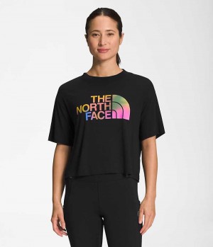 T-Shirt The North Face Corta Sleeve Half Dome Crop Femme Noir | PARIS UCFVN