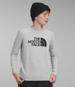 T-Shirt The North Face Long Sleeve Graphique Garcon Grise Clair | FR SHNUW