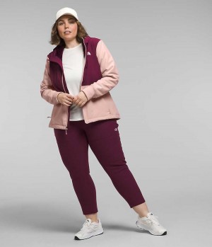 Veste Softshell The North Face Plus Shelbe Raschel Hoodie Femme Rose | FR YCIKT