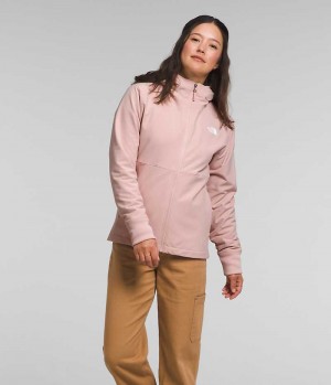 Veste Softshell The North Face Shelbe Raschel Hoodie Femme Rose | PARIS RPLIC