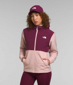 Veste Softshell The North Face Shelbe Raschel Hoodie Femme Rose | FR YEUVA