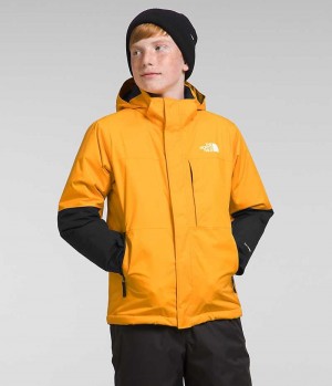 Vestes Isolées The North Face Freedom Extreme Garcon Doré | FR SGPJI