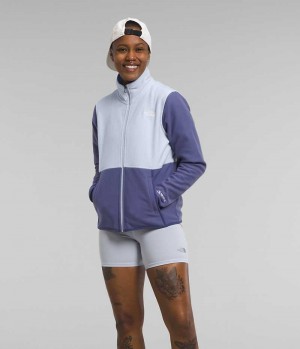 Vestes Polaires The North Face Alpine Polartec® 100 Femme Bleu | PARIS SLXKF