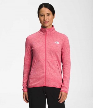 Vestes Polaires The North Face Canyonlands Full-Zip Femme Rose | PARIS AXTFO