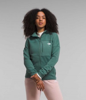 Vestes Polaires The North Face Canyonlands High Altitude Hoodie Femme Vert | PARIS OVYZF