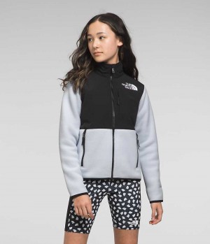 Vestes Polaires The North Face Denali Fille Noir Grise | FRANCE LYPOB