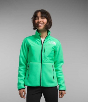 Vestes Polaires The North Face Denali Fille Vert | PARIS HKTWM