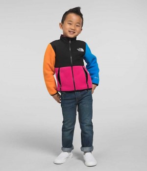 Vestes Polaires The North Face Denali Garcon Multicolore | FR VNPHT