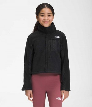 Vestes Polaires The North Face Fleece Mashup Fille Noir | PARIS RLTKH