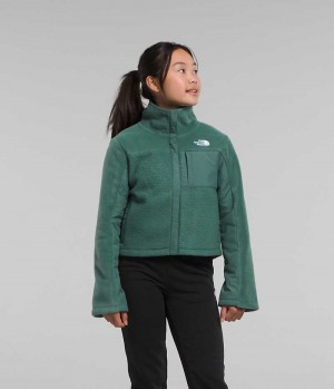 Vestes Polaires The North Face Fleece Mashup Fille Vert | FR WUBCZ