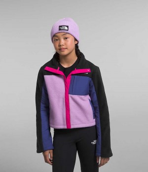 Vestes Polaires The North Face Fleece Mashup Fille Multicolore | PARIS AXVYW