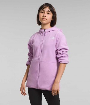 Vestes Polaires The North Face Glacier Full-Zip Encapuchonné Fille Lavande | FR LYXPM