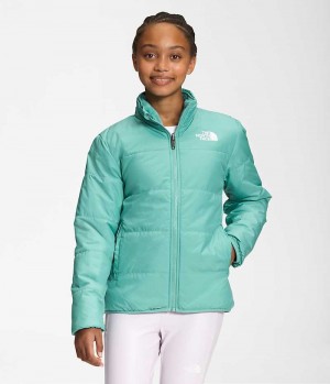 Vestes Polaires The North Face Reversible Mossbud Fille Turquoise | PARIS QCWGH