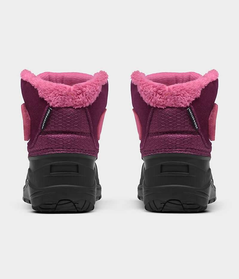 Botte Hiver The North Face Alpenglow II Fille Rose Noir | PARIS EFVDJ