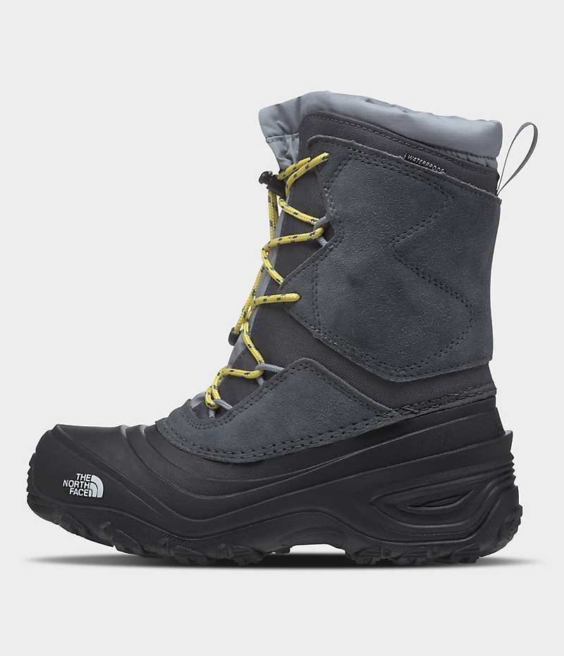 Botte Hiver The North Face Alpenglow V Imperméables Fille Grise | FR GNSMP