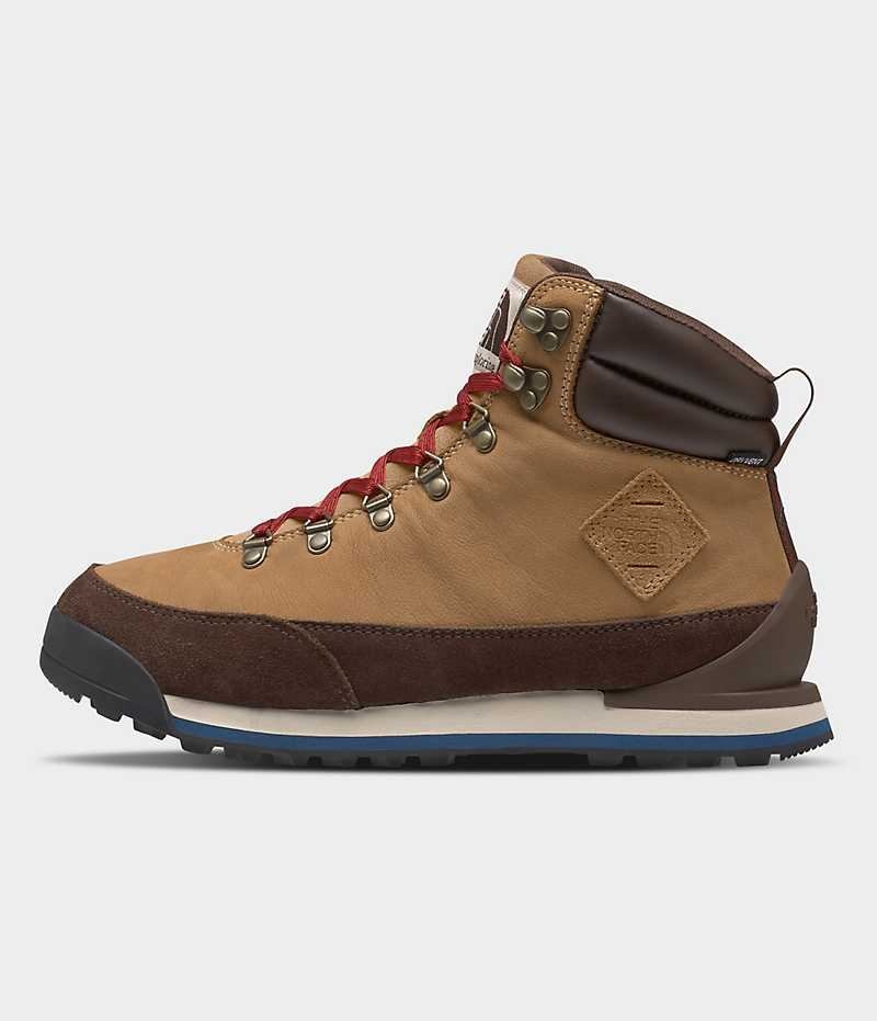 Botte Hiver The North Face Back-To-Berkeley IV Cuir Imperméables Homme Marron | PARIS XAGWS