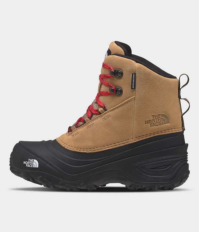 Botte Hiver The North Face Chilkat V Dentelle Imperméables Fille Marron | PARIS QFJLU