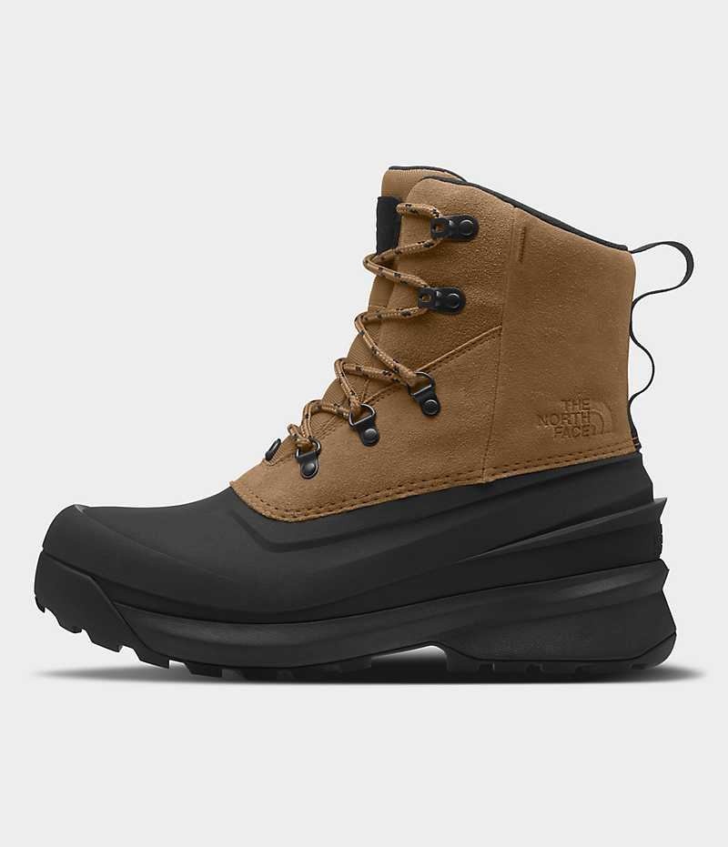 Botte Hiver The North Face Chilkat V Dentelle Imperméables Homme Marron Noir | FR DYLMA