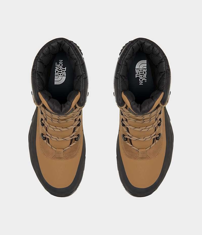 Botte Hiver The North Face ThermoBall™ Lifty II Homme Marron Noir | PARIS HAGNO